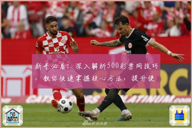 新手必看：深入解析500彩票网技巧，教你快速掌握核心方法，提升使用体验